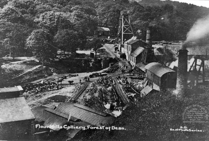 Image: Flourmill Colliery Bream (55k)