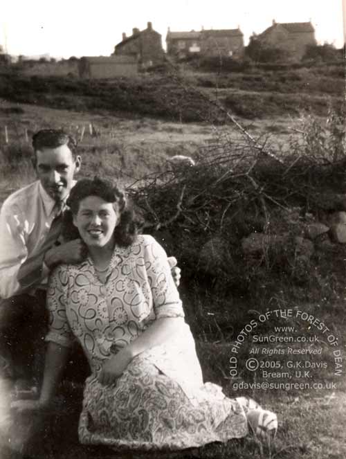 Image: Sun Green, Bream 1950 (38k)