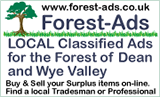 Buy and Sell your surplus items on line. Find a local tradesman or professional.