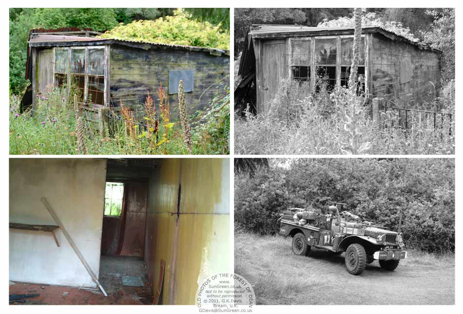 WWII hut, Wigpool