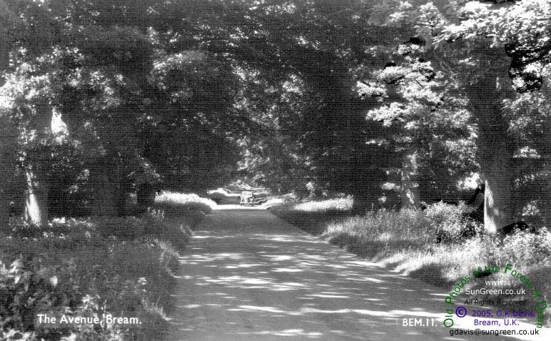 Bream Avenue (88k)