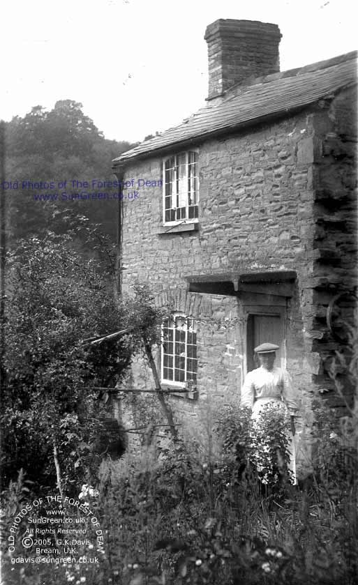 Image :  Elizabeth C Miles (65k)
