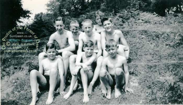 The Tank, Swimmers (45k)