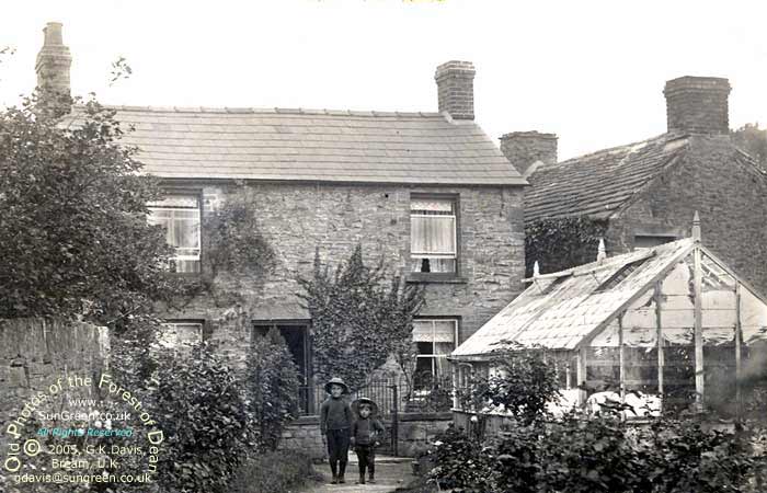 Vine Tree Cottage c 1914 (56k)