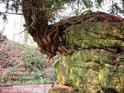 Devils Chapel 2002