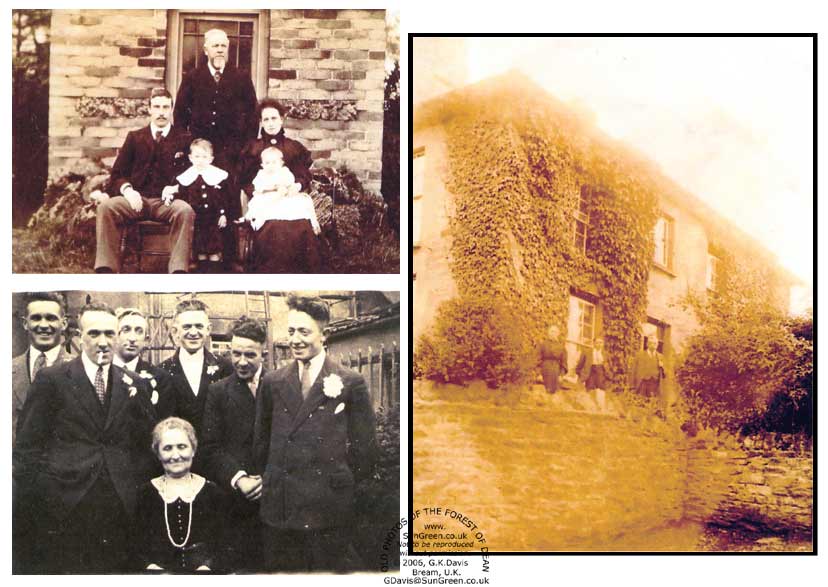 image: Camm Morse and kear, Bream - Well Meadow, Bream