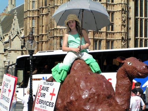 Camel at Parliament