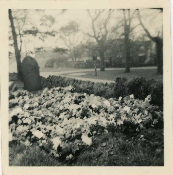 Petulengro flowes in Viney Hill churchyard