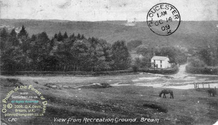 Sun Green 1909