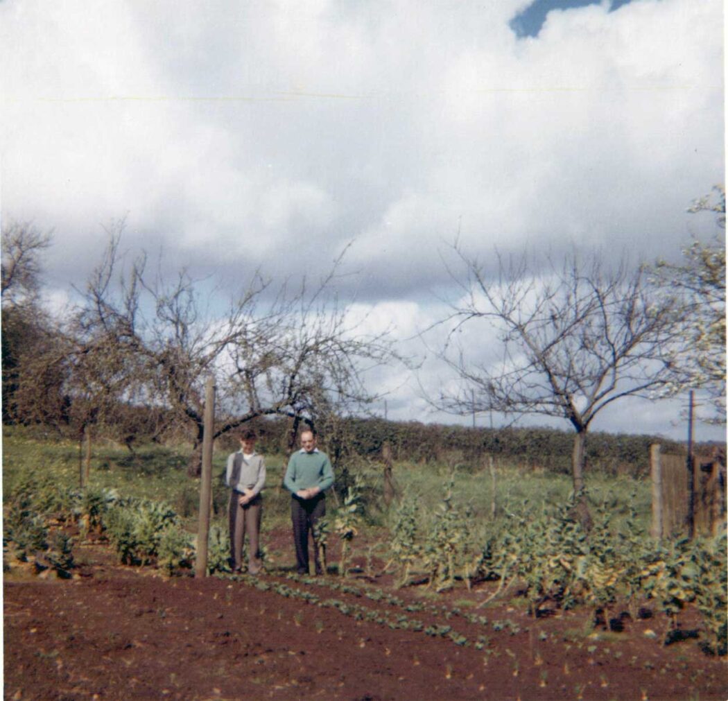 A photo of Bannock Tree cottage vegetable garden.