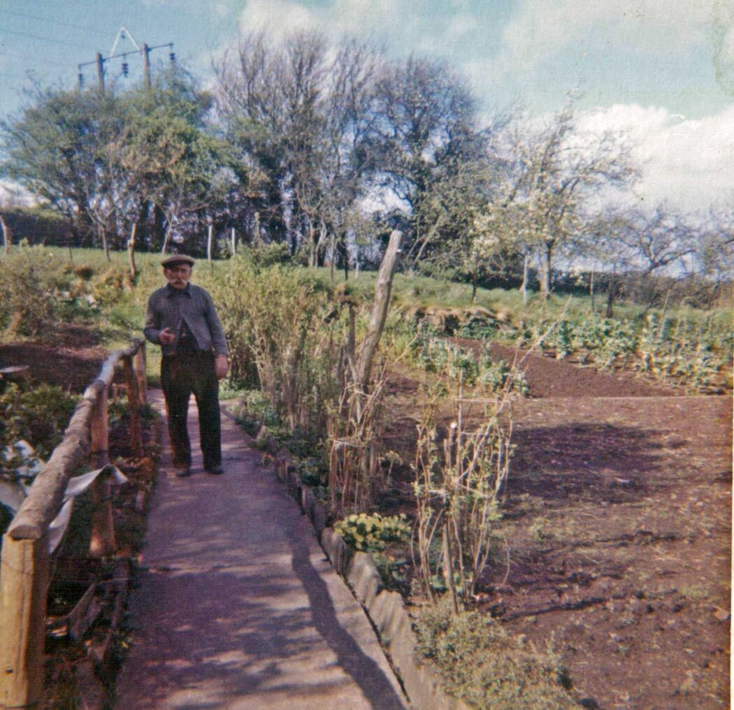 A photo showing Bannock Tree cottage vegetable garden.