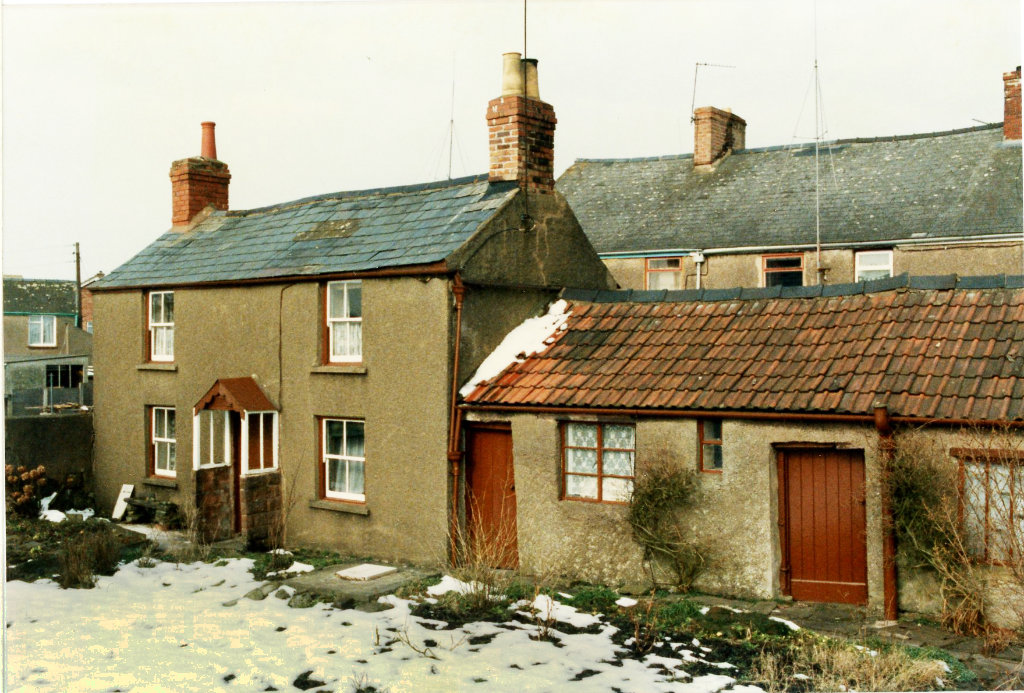 A Forest cottage